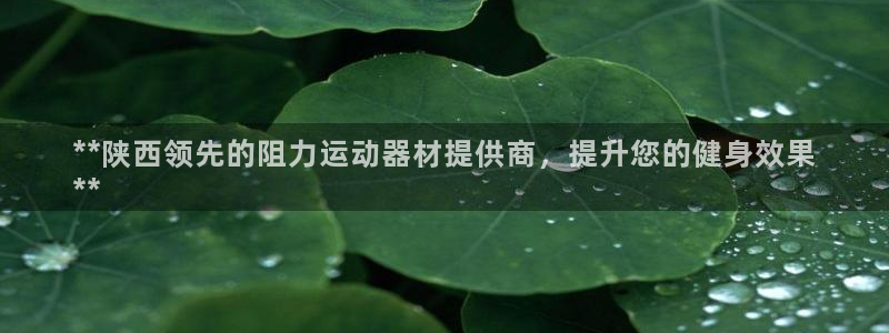 意昂3娱乐平台:**陕西领先的阻力运动器材提供商,提升您的健