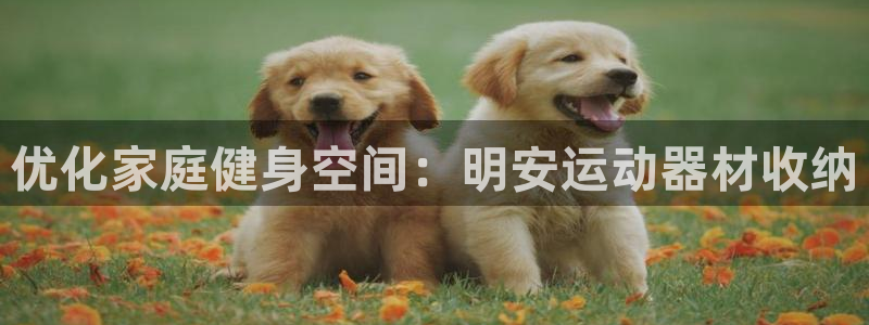 意昂3官网:优化家庭健身空间:明安运动器材收纳